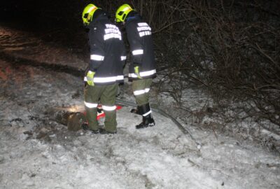 Verkehrsunfall nähe Seensucht, 22.02.2013